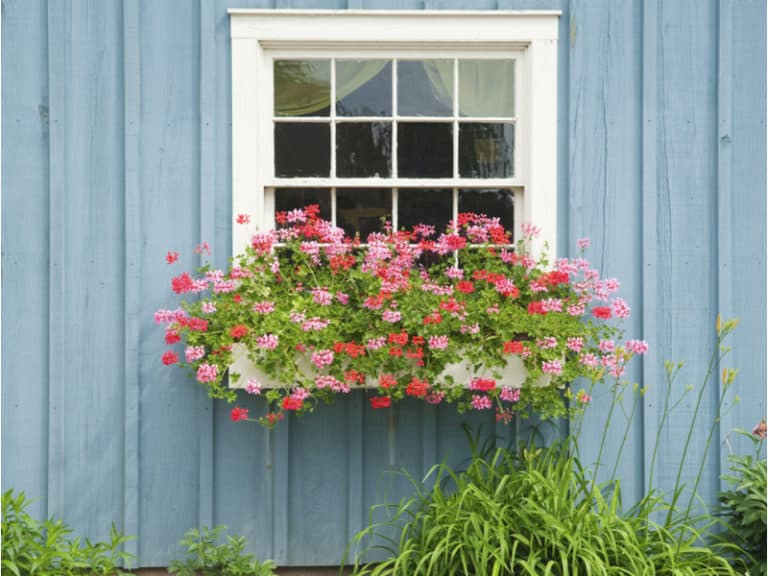 How to Hang Window Boxes? (Step-By-Step Tutorial)