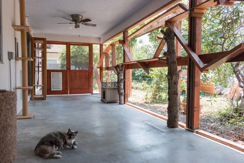 How to build a safe and stylish catio
