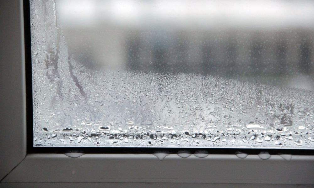 How to Prevent Condensation on Windows? (21 Ways)