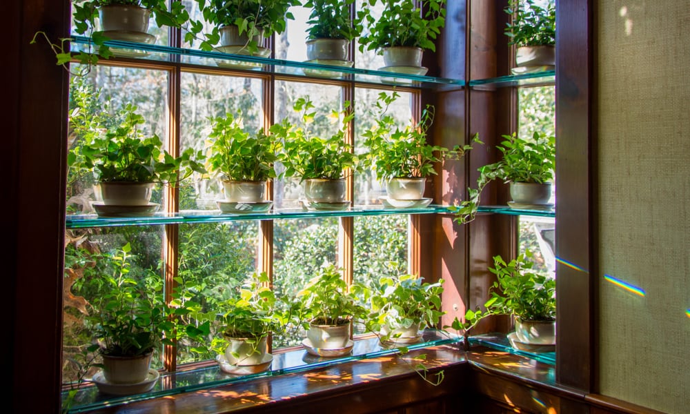 11 Window Privacy Options - Top Privacy Ideas for Your Window Screen Does Window Privacy Film Affect Plants