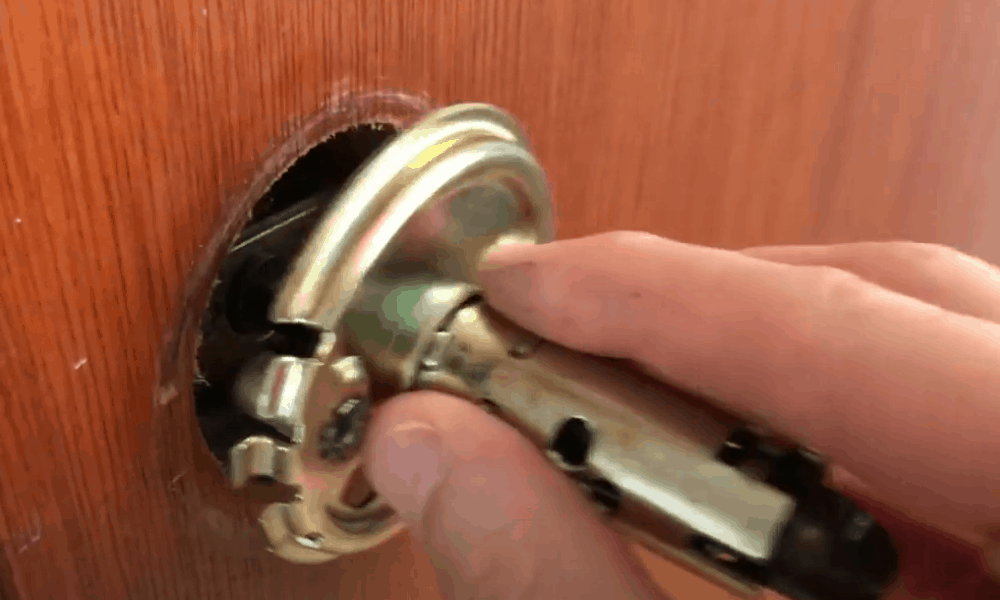 Take Out the Latch Plate with the Latch Bolt