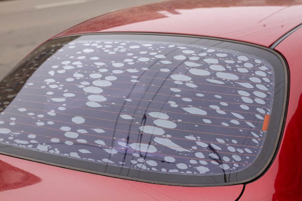 Why Does Window Tint Bubble? (Types, Causes & Prevent)