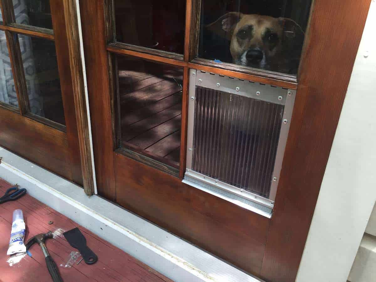 DIY Dog Door for French Door Window Panes – Howchoo