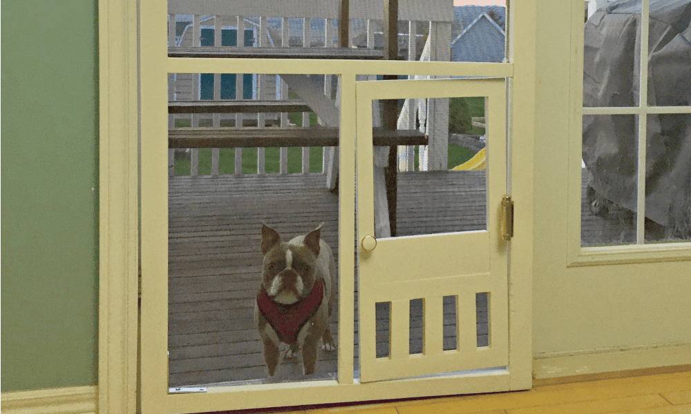 DIY Pet Door in a Screen Door – Heather Laura Clarke