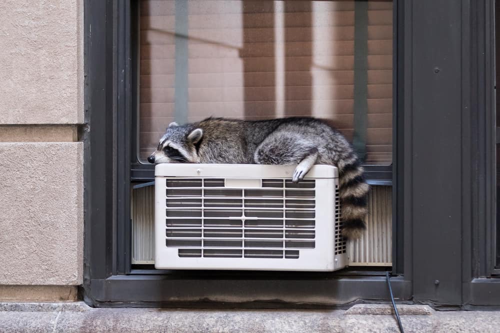 Can A Window Air Conditioner Be Installed Sideways