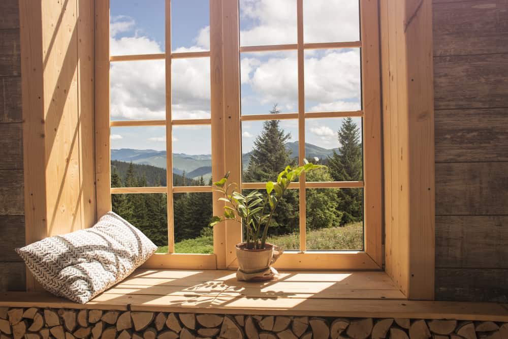 How To Dress A Window Without Curtains