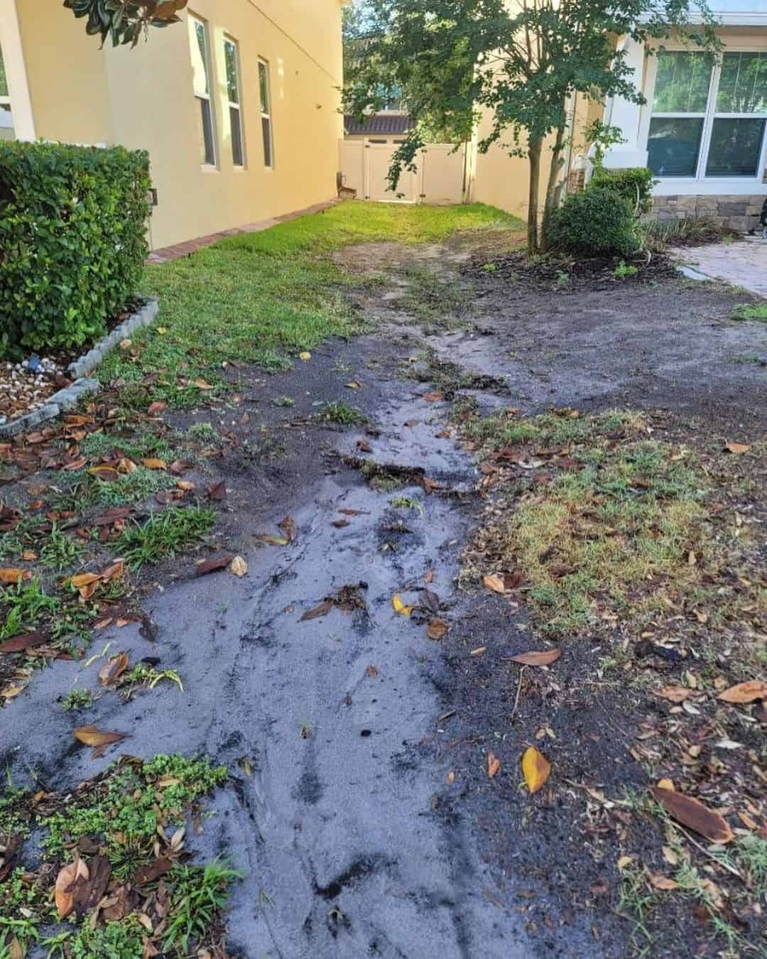 How To Prevent Water Runoff Damage?