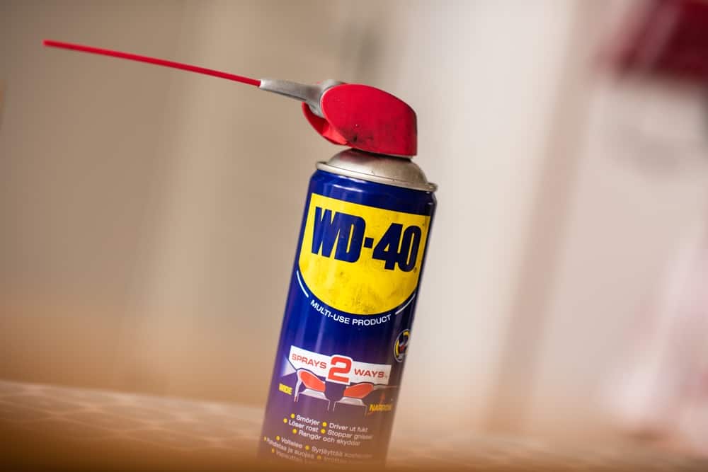 How to Clean Shower Doors With WD 40? (Fast & Easy Steps)
