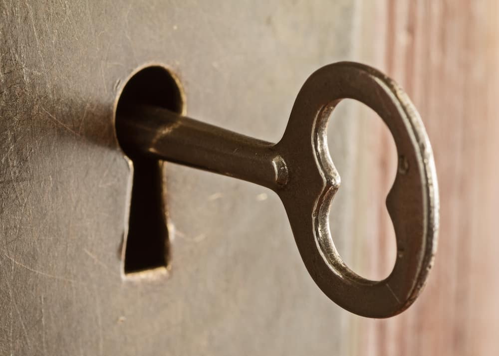 How To Unlock A Skeleton Key Door? (In A Few Easy Steps)