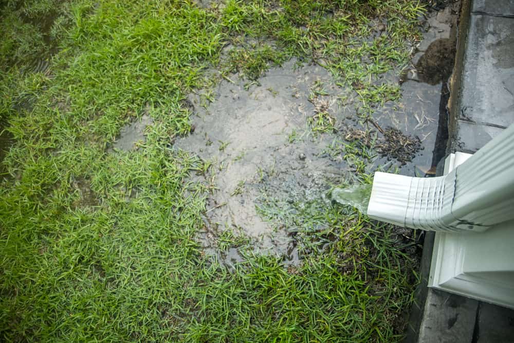 Water Runoff from Next Door onto My Property (What Can I Do?)