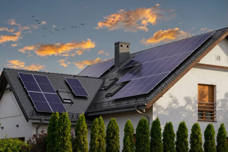 How To Maintain Solar Panels For Peak Performance